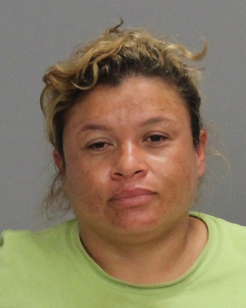 ANDINO, NILDA ARACELI arrested by Brazos County SO/PD