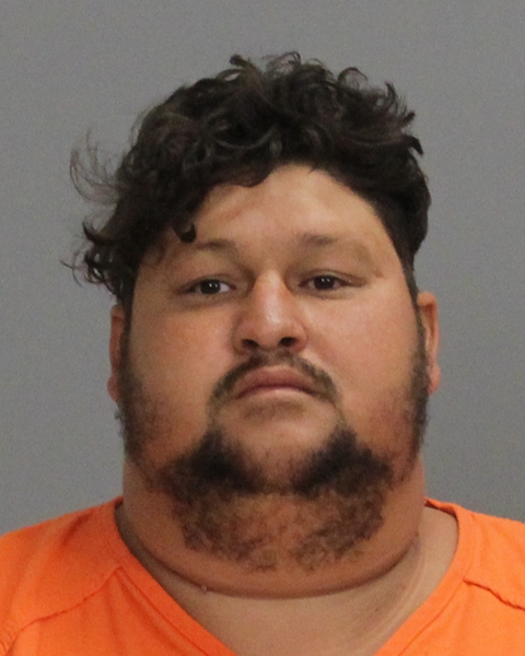 BREWER, LOUIS JAMES arrested by Brazos County SO/PD