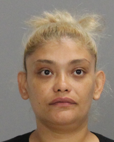 HINOJOSA, PAOLA CRISTINA arrested by Brazos County SO/PD