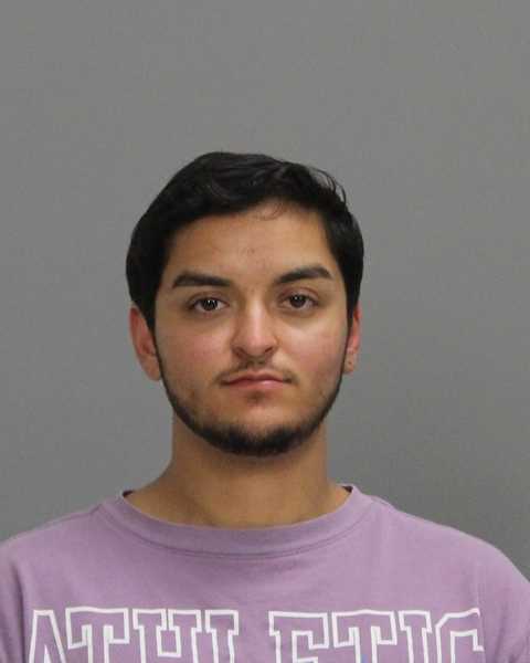 JOHNSON, MATHEA PRISCILLA IRENE arrested by Brazos County SO/PD