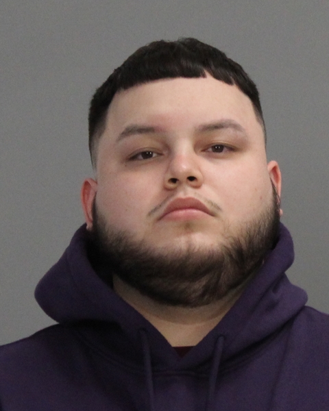 MELESIO, NESTOR ALFREDO booking photo