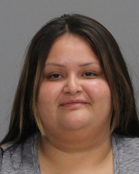 MEDINA, AMANDA MARIE booking photo