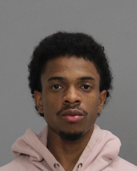 JOHNSON, ALBERT TERRENCE booking photo