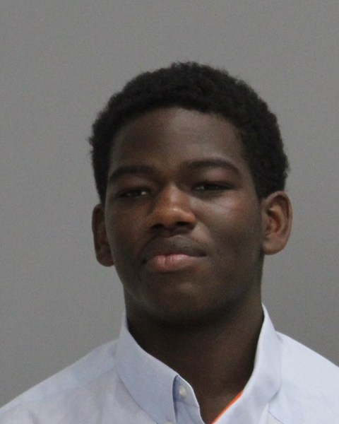 MCCLENDON, J'LYNNE DAVION booking photo