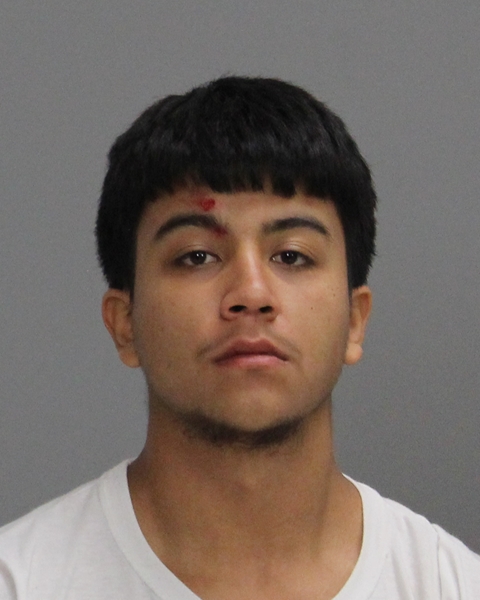 Martinez, Simon Tirado booking photo