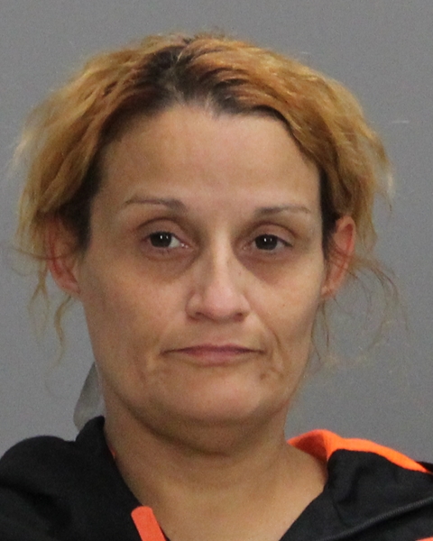 VIGNERI, LESLEY BROOKE arrested by Brazos County SO/PD