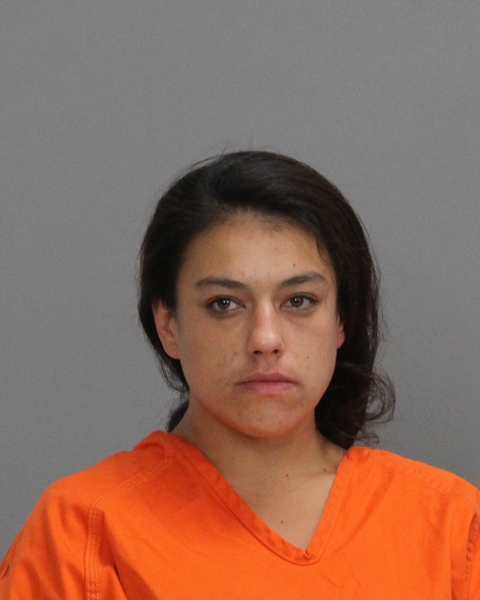 Braddock, Brittany Nicole arrested by Brazos County SO/PD