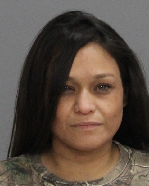 MENDOZA, VALERIE RAMIREZ arrested by Brazos County SO/PD