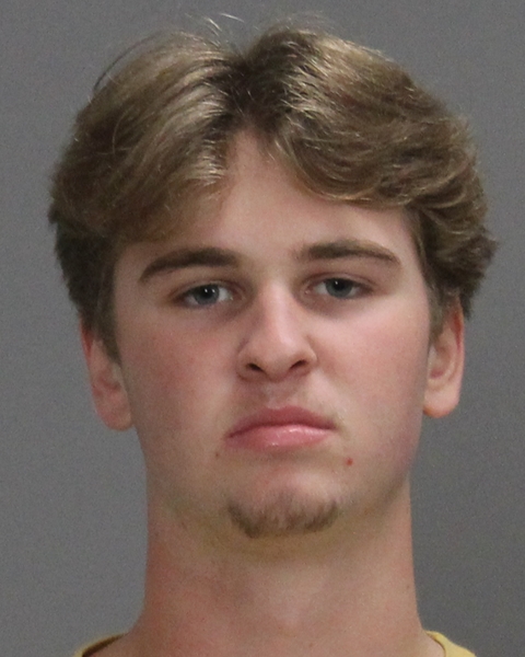 WILSON, BROCK SKYLER booking photo