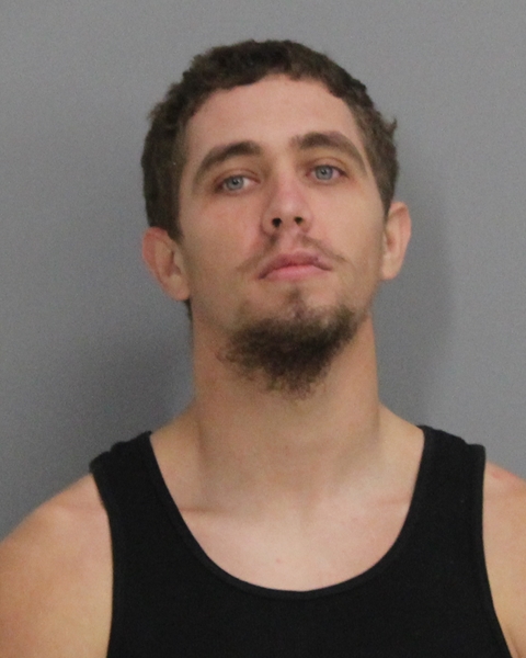 McMahon, Gabriel Alan booking photo