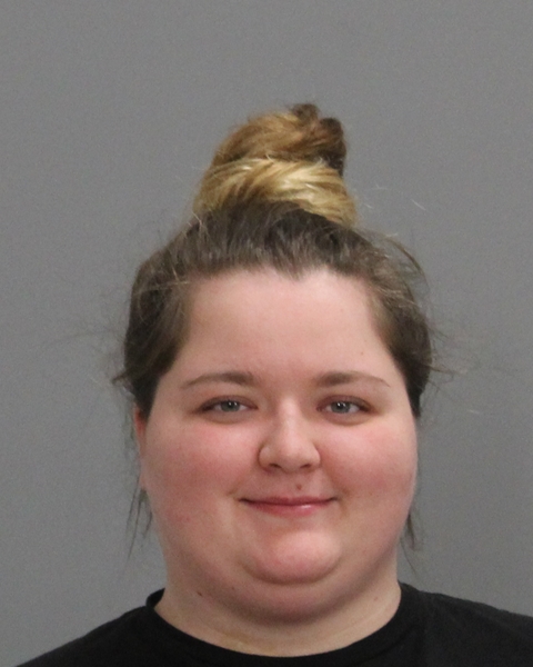 HUTSON, DIANNE MAE booking photo