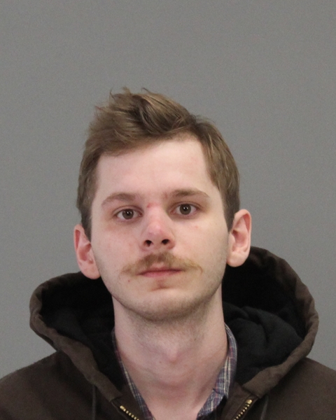 Lyle, Ethan Hendrix booking photo