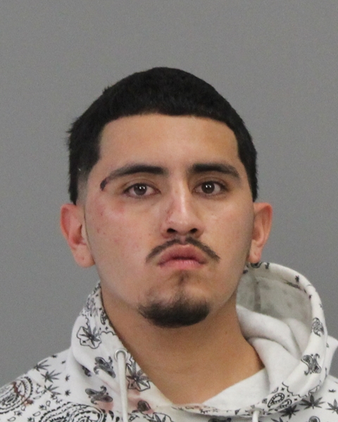 BAHENA, ROGELIO ANTONIO booking photo