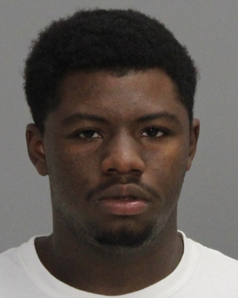 WILLIAMS, CALVIN DWAYNE, Jr booking photo