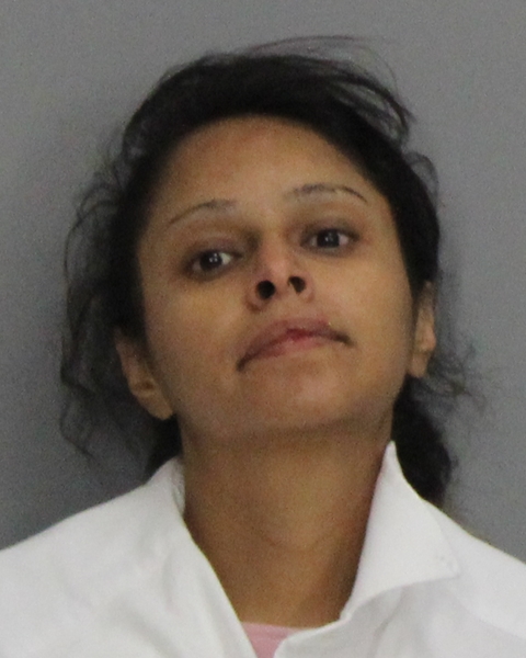 Pedroza-Guzman, Alejandra Yamin booking photo