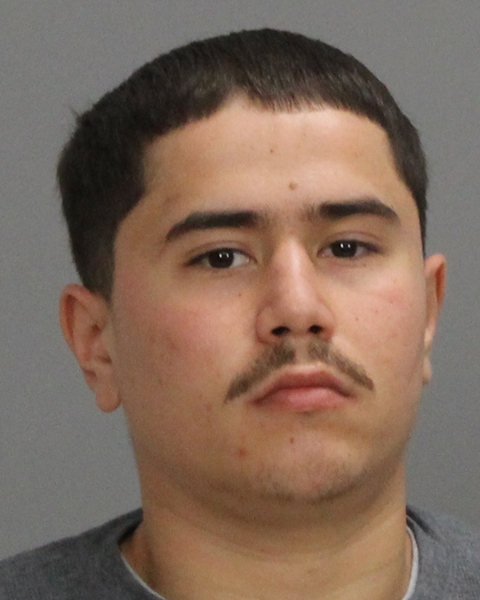 Gracia, Erin Roland booking photo