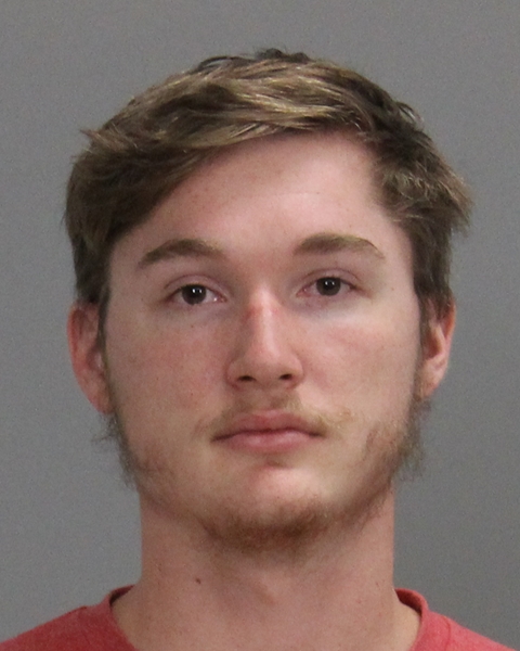 Accipiter, Phoenix Allen booking photo