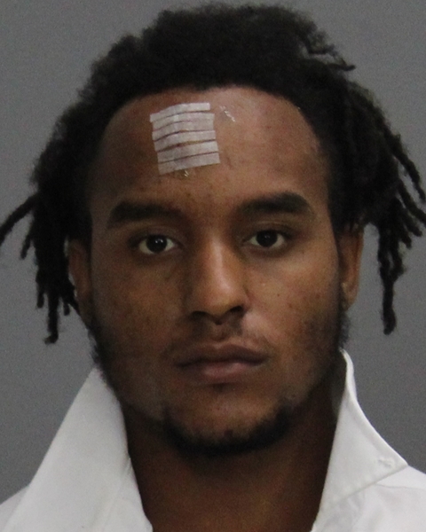 WILLIAMS, TEDDY DENZEL booking photo
