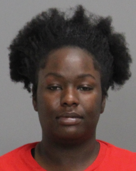 Shannon, Ellandria Lynn booking photo