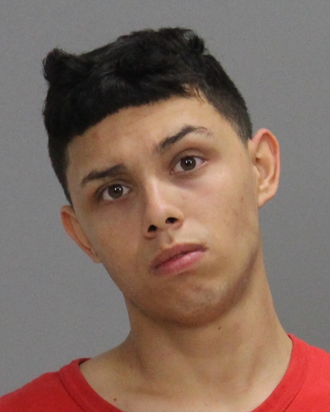 GALVAN, JIMMY LEE, Jr booking photo