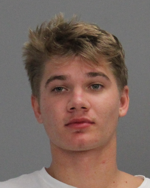 Henderson, Trevor Wade booking photo