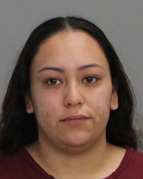 DELUNA, MARISELA ANN booking photo