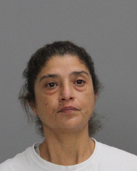JIMENEZ, ARAZELY VILLAVUEVA booking photo