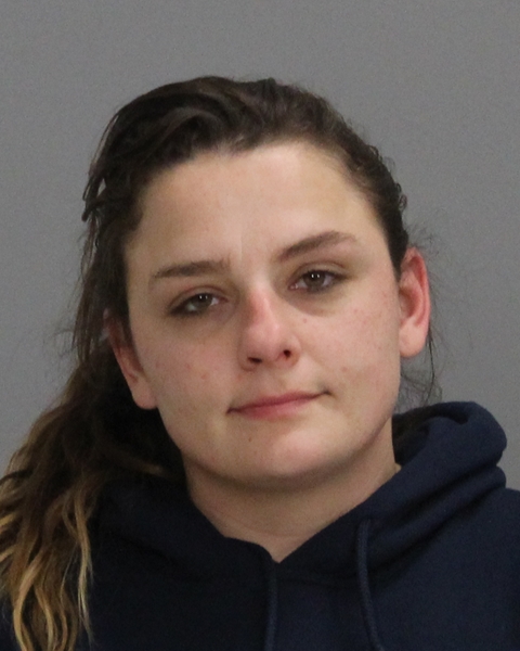 Schmiedeke, Sarah Jane booking photo