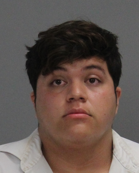 DELGADO, JOSIAS booking photo