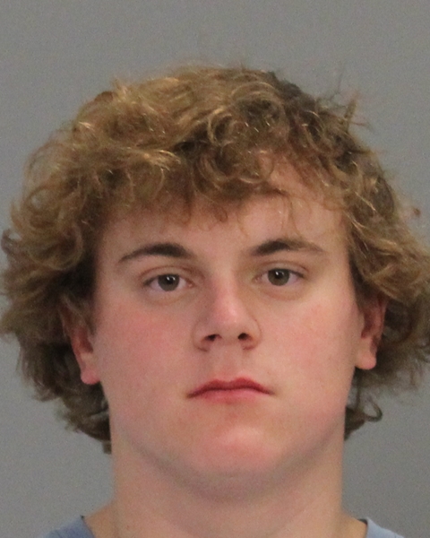 Andrews, Benjamin Bono booking photo