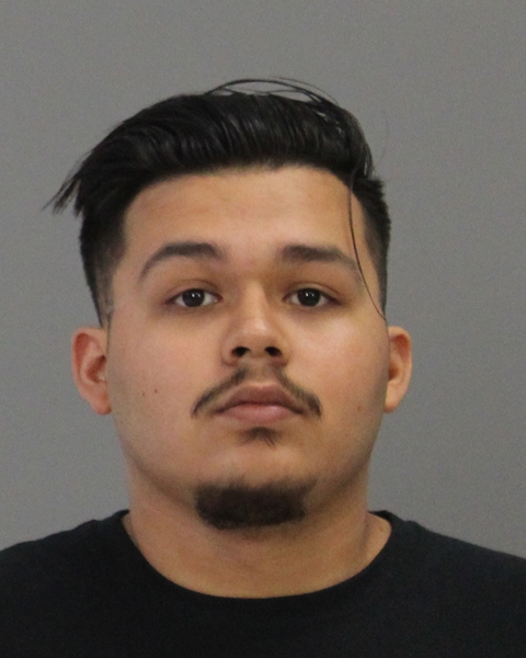 REYNA, JOSE SANTANA booking photo