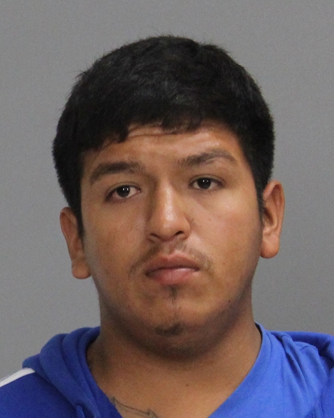 SANCHEZ, SEBASTIAN ALEJANDRO booking photo