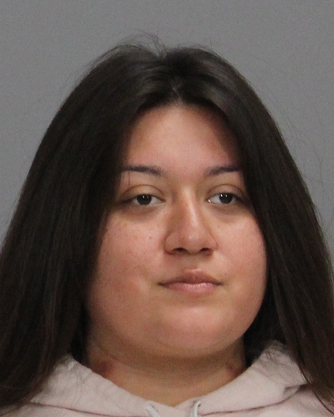 FERNANDEZ, LUCY ELIZABETH booking photo