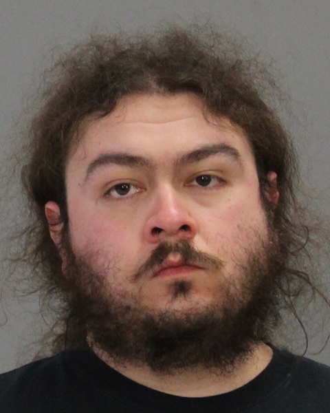 BRAMMER, MICHAEL PATRICK booking photo