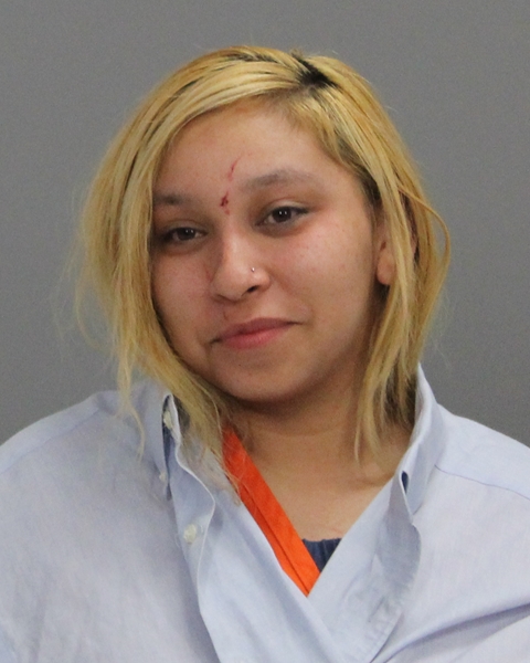 HERNANDEZ, IRENE ELIZABETH booking photo