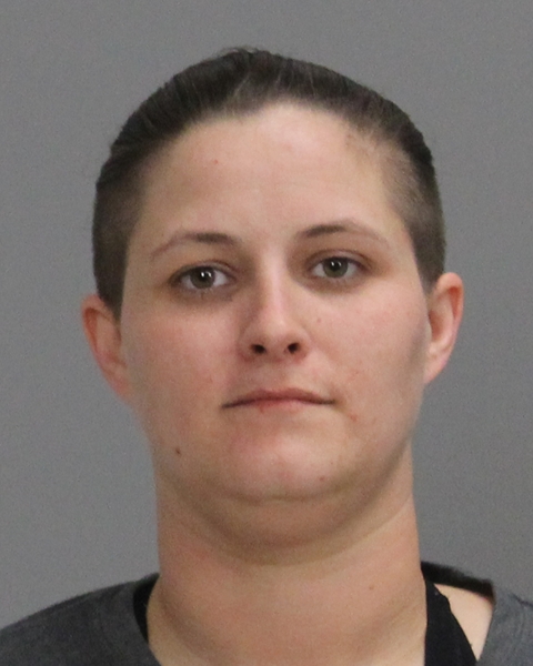 ELLIS, ASHLEY DEBRA booking photo