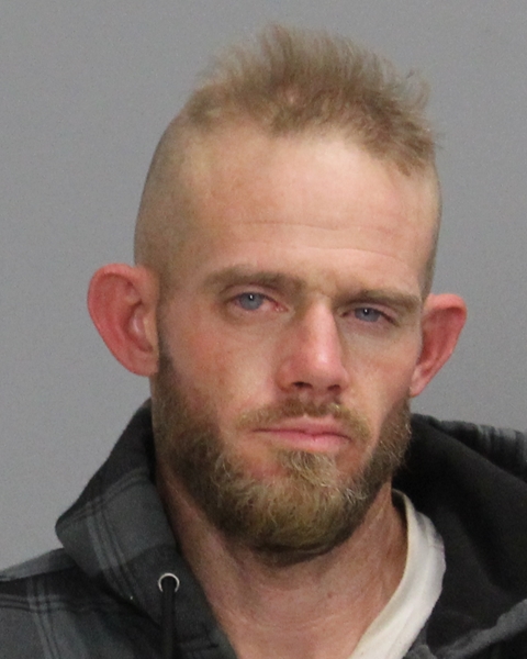 DOOLAN, ANDY JOELEE booking photo