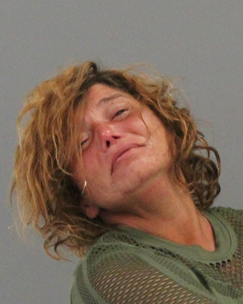 DOWNING, TERRI LYDIA booking photo