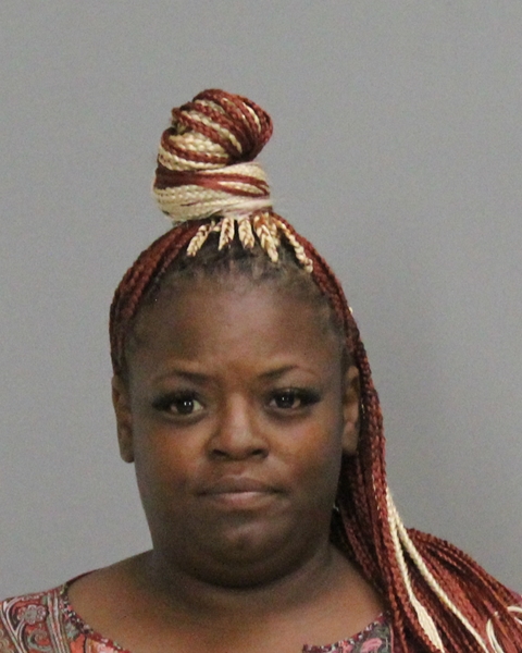 WILLIAMS, ERNESTINE LOUISE booking photo