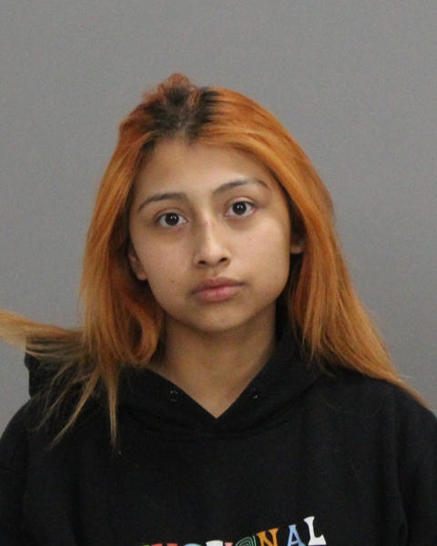 CASTILLO, MARISA GUADALUPE booking photo