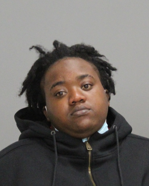 Francisco, Allenae Marie booking photo