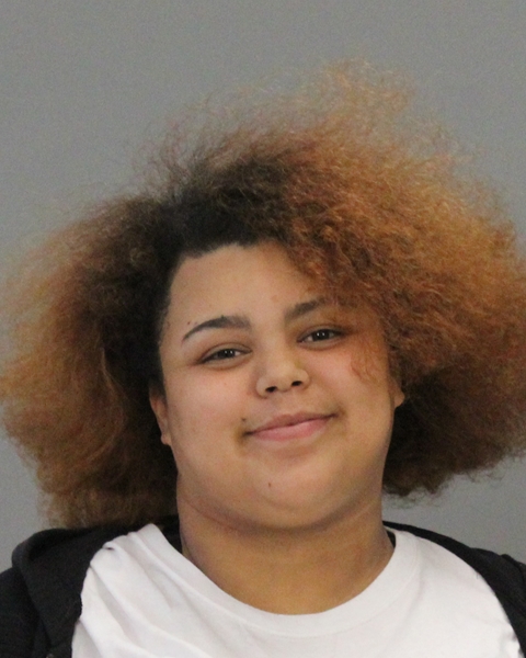 JOHNSON, CEMAIAH LASHAYE booking photo