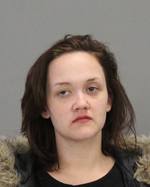 ADELSTEIN, PATRICIA GAIL booking photo