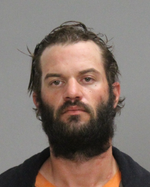 DICKY, CARROLL WAYNE, II booking photo