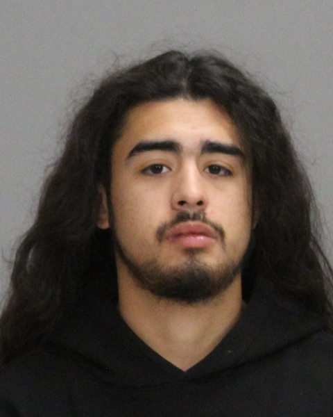 AVILES, NICKOLAS ESBER booking photo