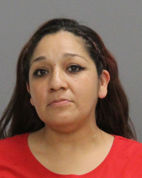 SANCHEZ, ELVIRA CADENA booking photo