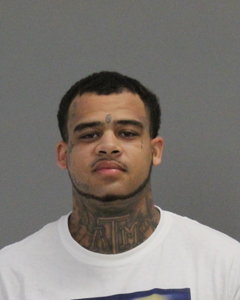 NELSON, THEAPOLIS MAURICE, Jr booking photo