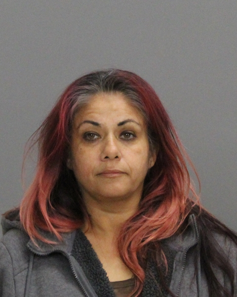 MEZA, LORI ANN booking photo