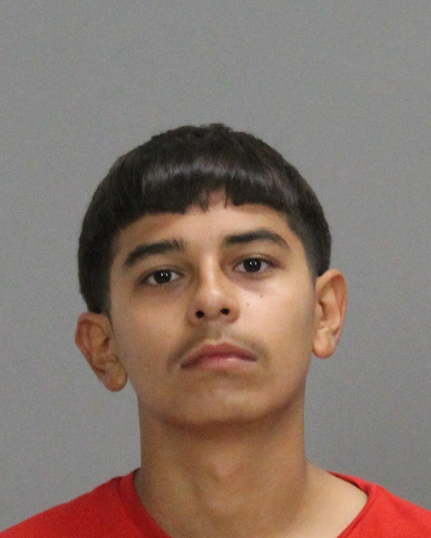 Amaya, Victor M booking photo