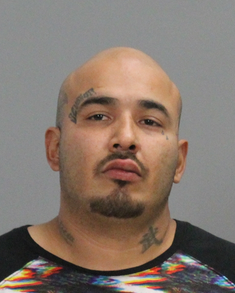 LLANAS, JORGE CANTU booking photo